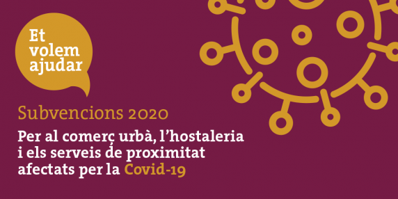 Subvenció Covid-19
