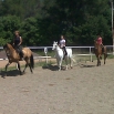 Classes d'equitació