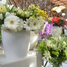 flors