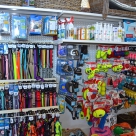 Complements de Mascotes